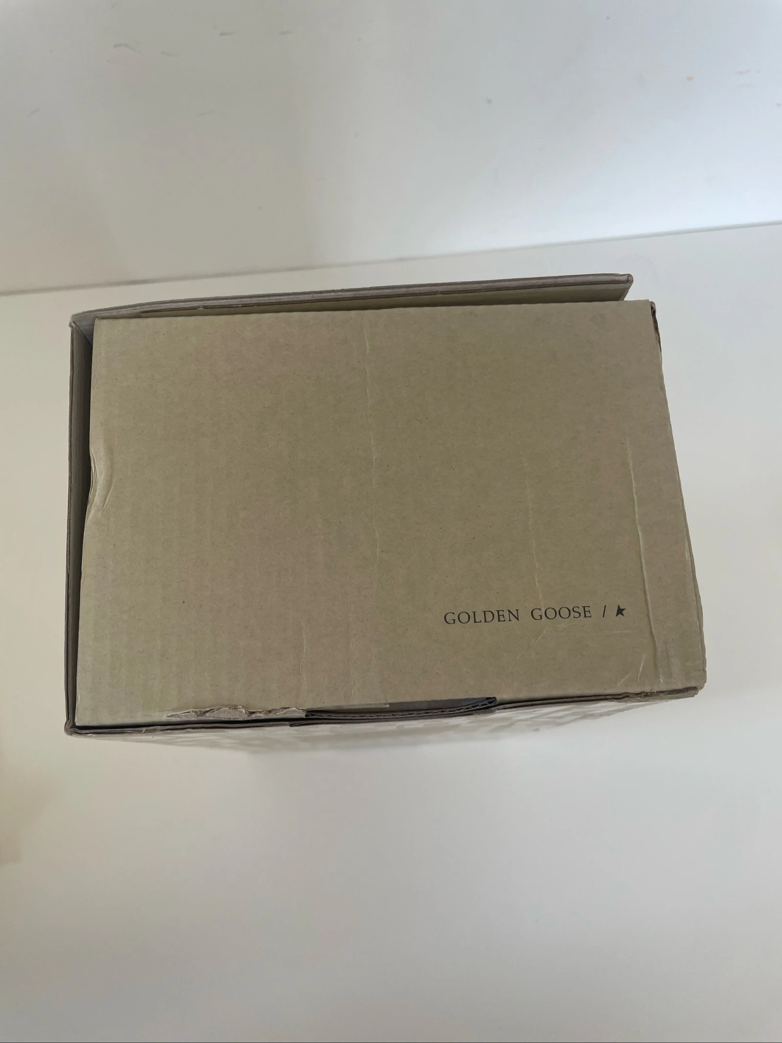 Golden goose – photo 16